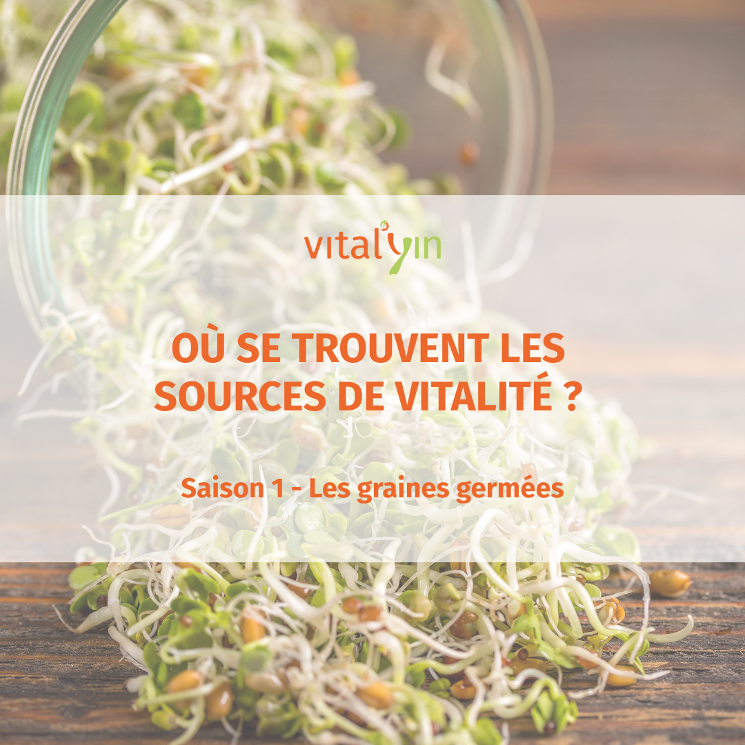 Saison 1 - Les graines germées - Où se trouvent les sources de vitalité ?