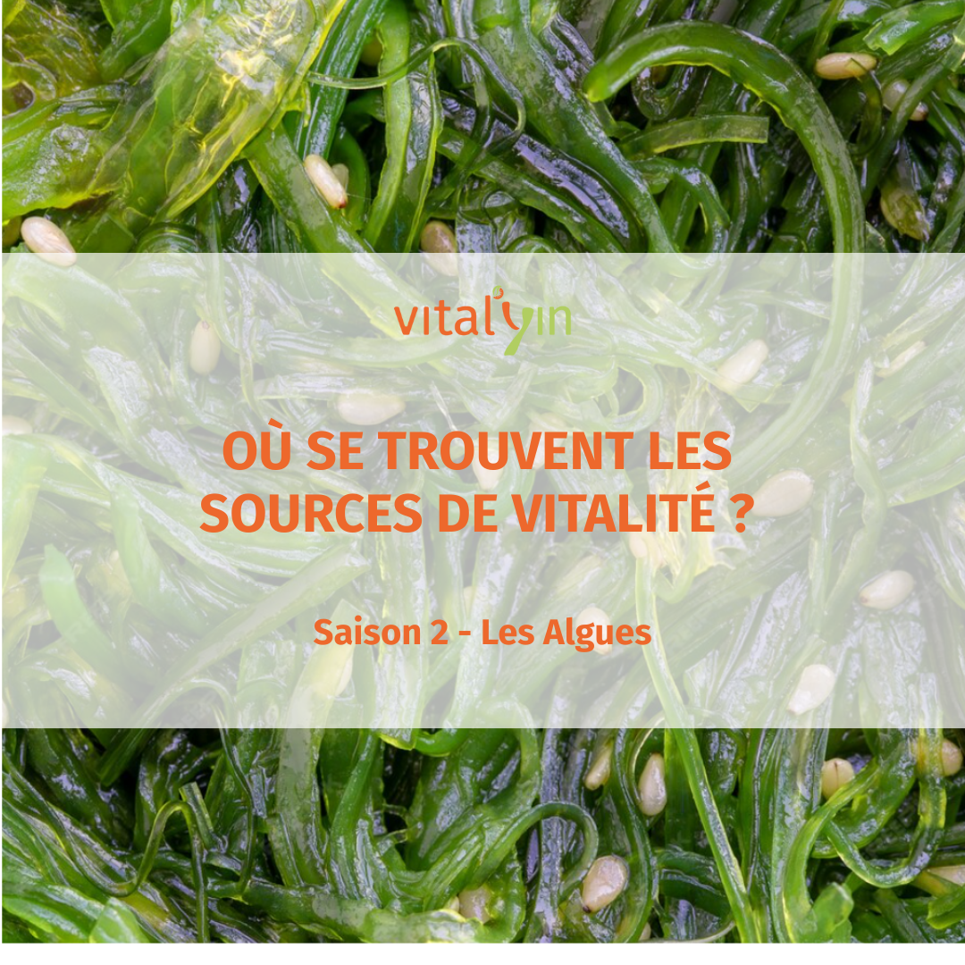 Saison 2- Les Algues - Où se trouvent les sources de vitalité ?