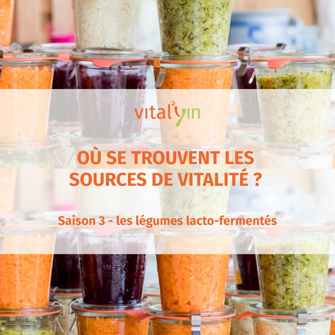 Saison 3 - Les légumes lacto- fermentés 